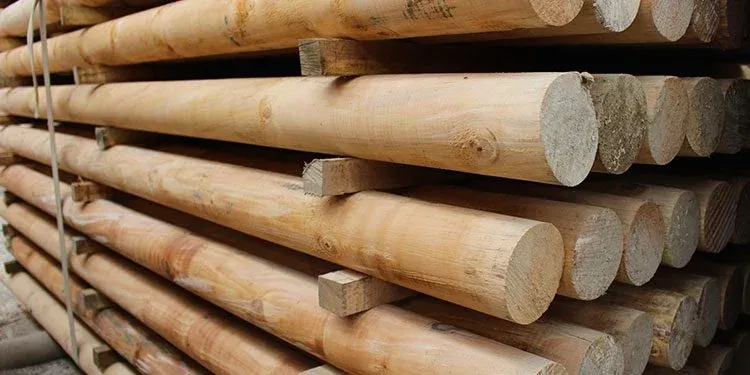Madera inmunizada instalada en exteriores con cuidados y mantenimiento preventivo para que dure más
