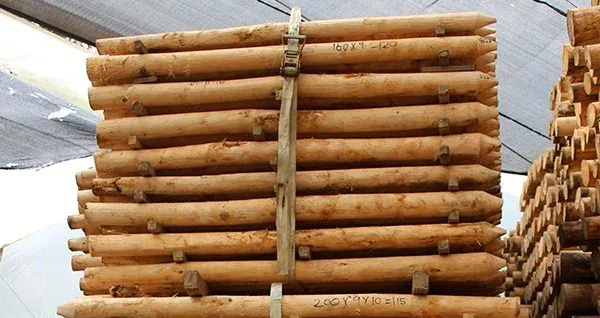 Estacones y postes de madera inmunizada Troncos de madera inmunizada en pino pátula para postes y estacones, vendidos en Medellín